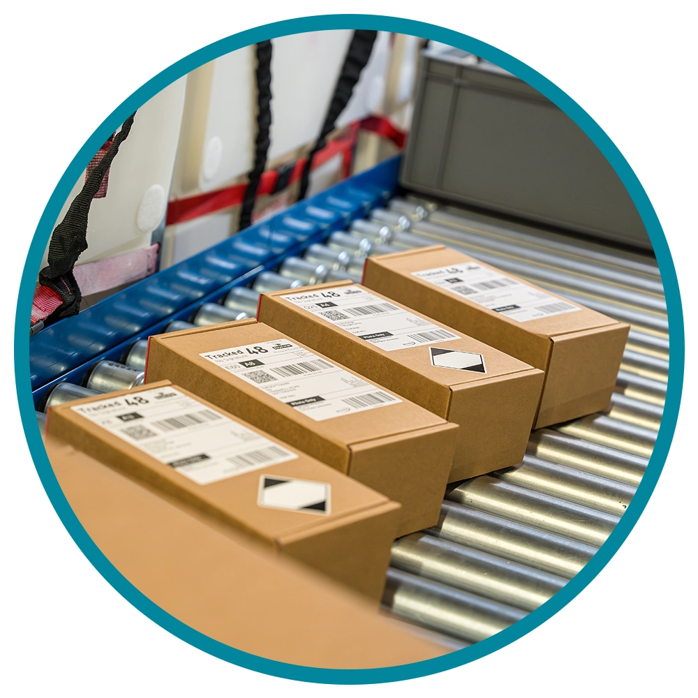 sustainable fulfilment- cardboard boxes on a belt